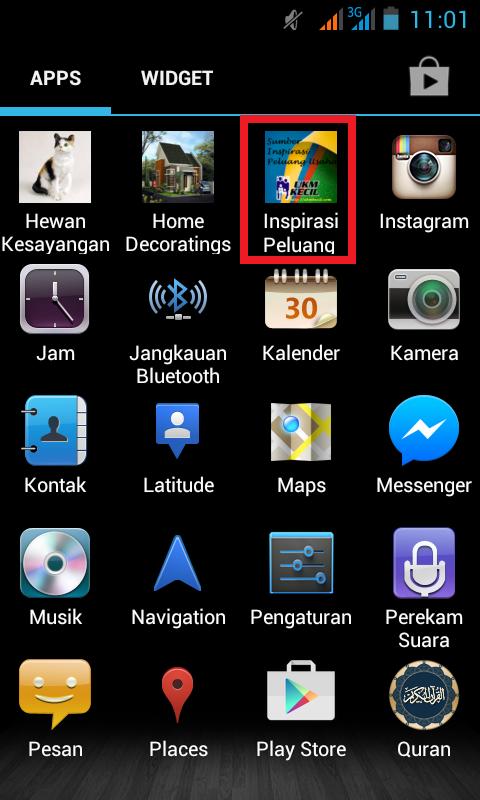 Peluang Usaha UKM