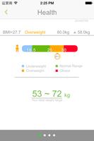 Health Scale
