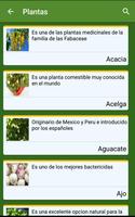 Medicina Natural