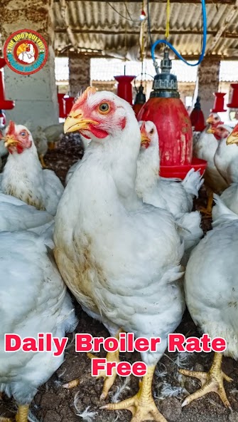 The Bro Poultry