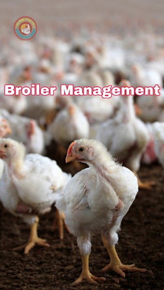 The Bro Poultry