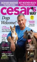 Cesar's Way Magazine