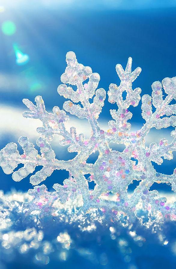 Snow Wallpaper