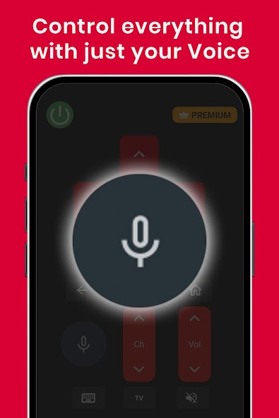 RCA TV Remote