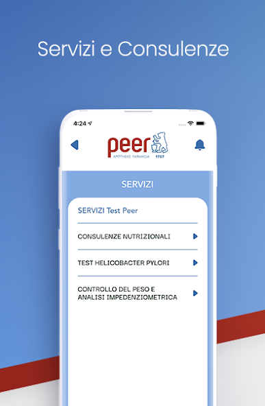 PeerOnline