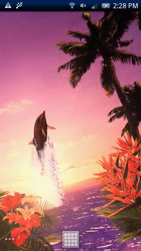 Tropical Ocean-Twilight Trial