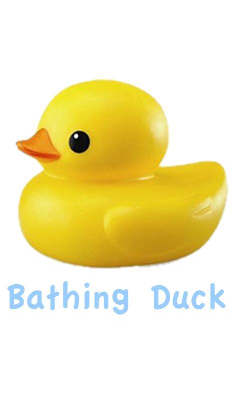 Bathing Duck