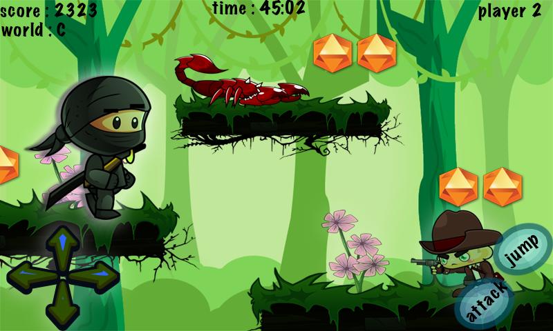 Ninja's World