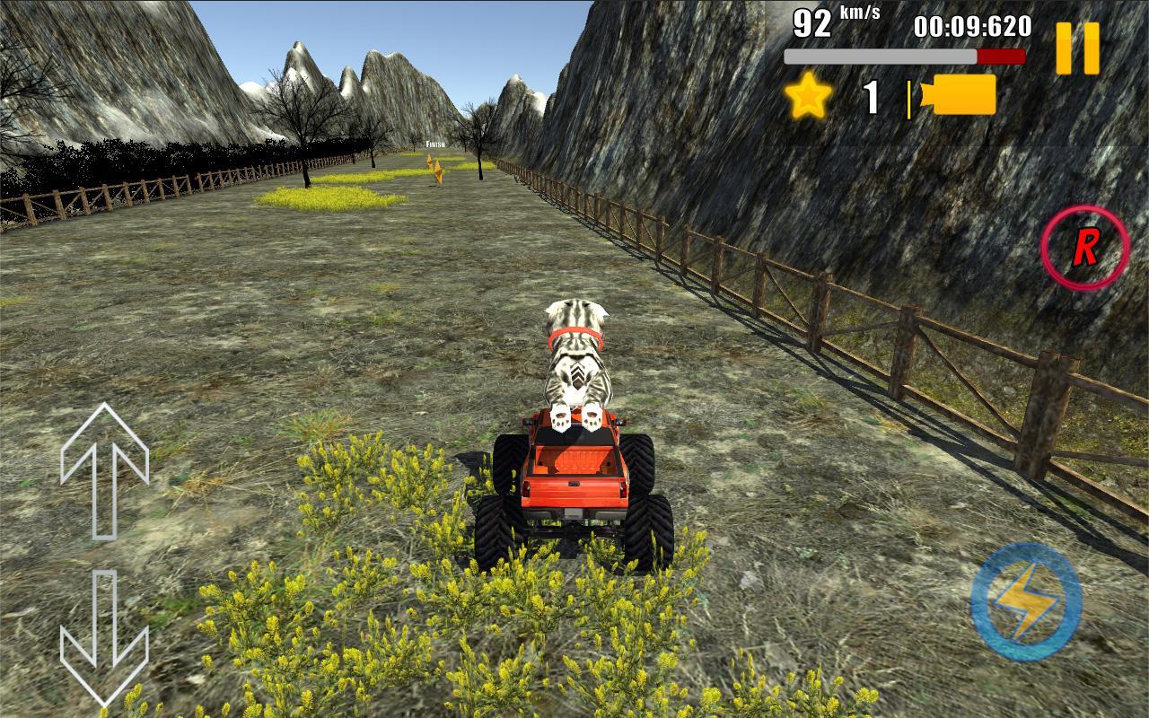 Cat Car Rally 3D!