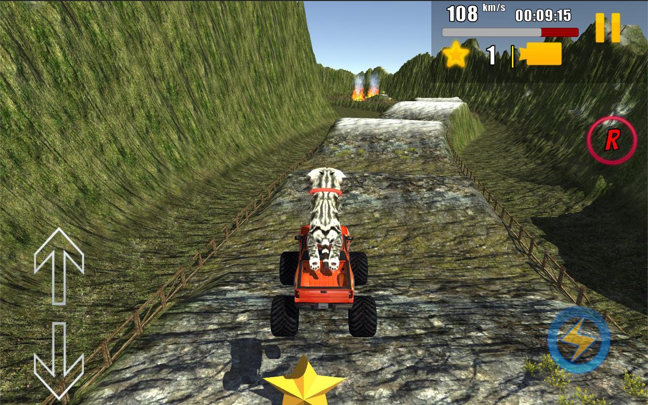 Cat Car Rally 3D!