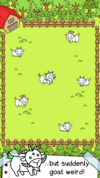 Goat Evolution