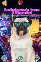 Talking Pug