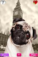 Talking Pug
