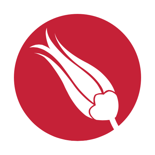 Hands On Turkish