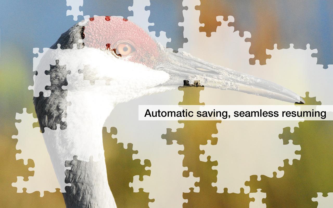 Jigsaw Puzzles: Lake Birds