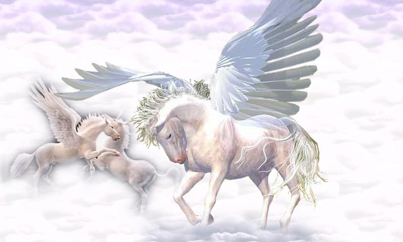 Pegasus wallpapers
