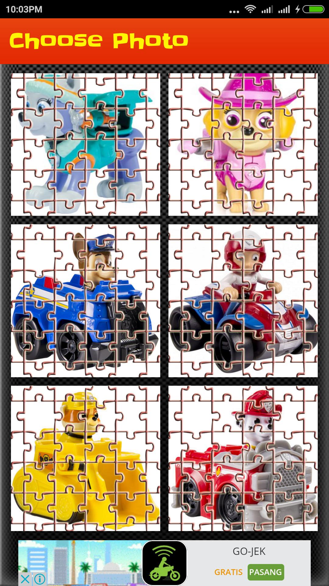 Puzzle Toys for Paw Patrol