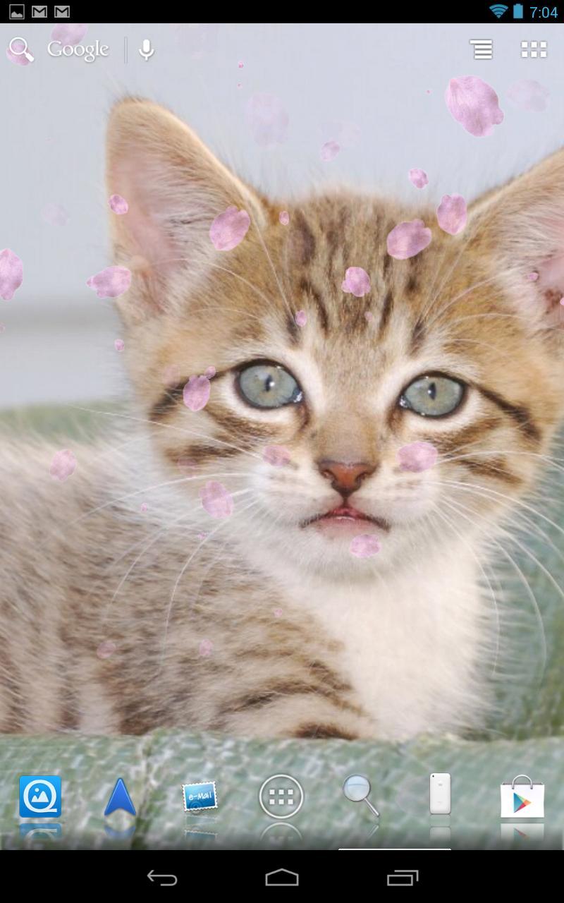 Petal,snow,gold LiveWallParper