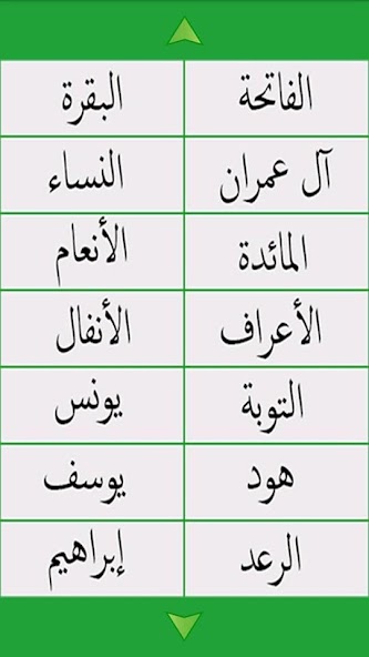 Holy Quran Full ElShmrly Print