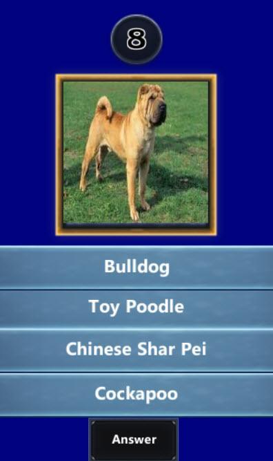 ﻿Quizup the Dog breed