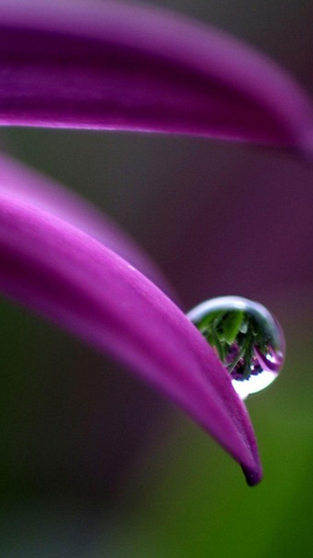 Raindrops Live Wallpaper