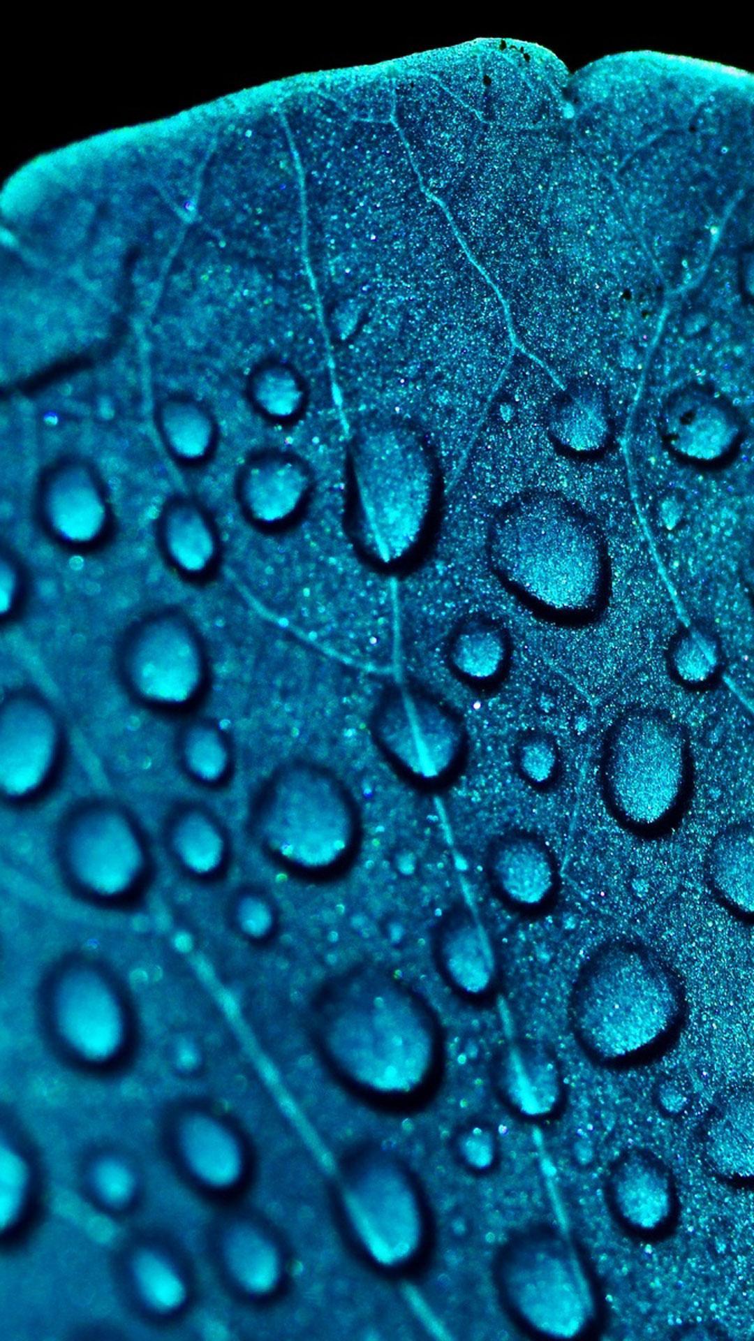 Raindrops Live Wallpaper