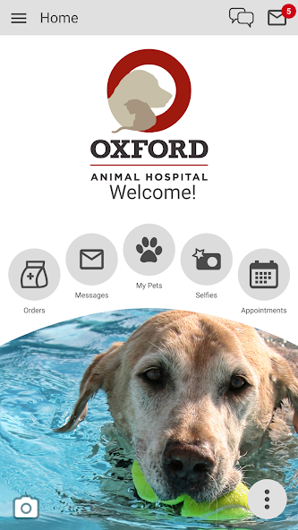 Oxford Animal Hospital