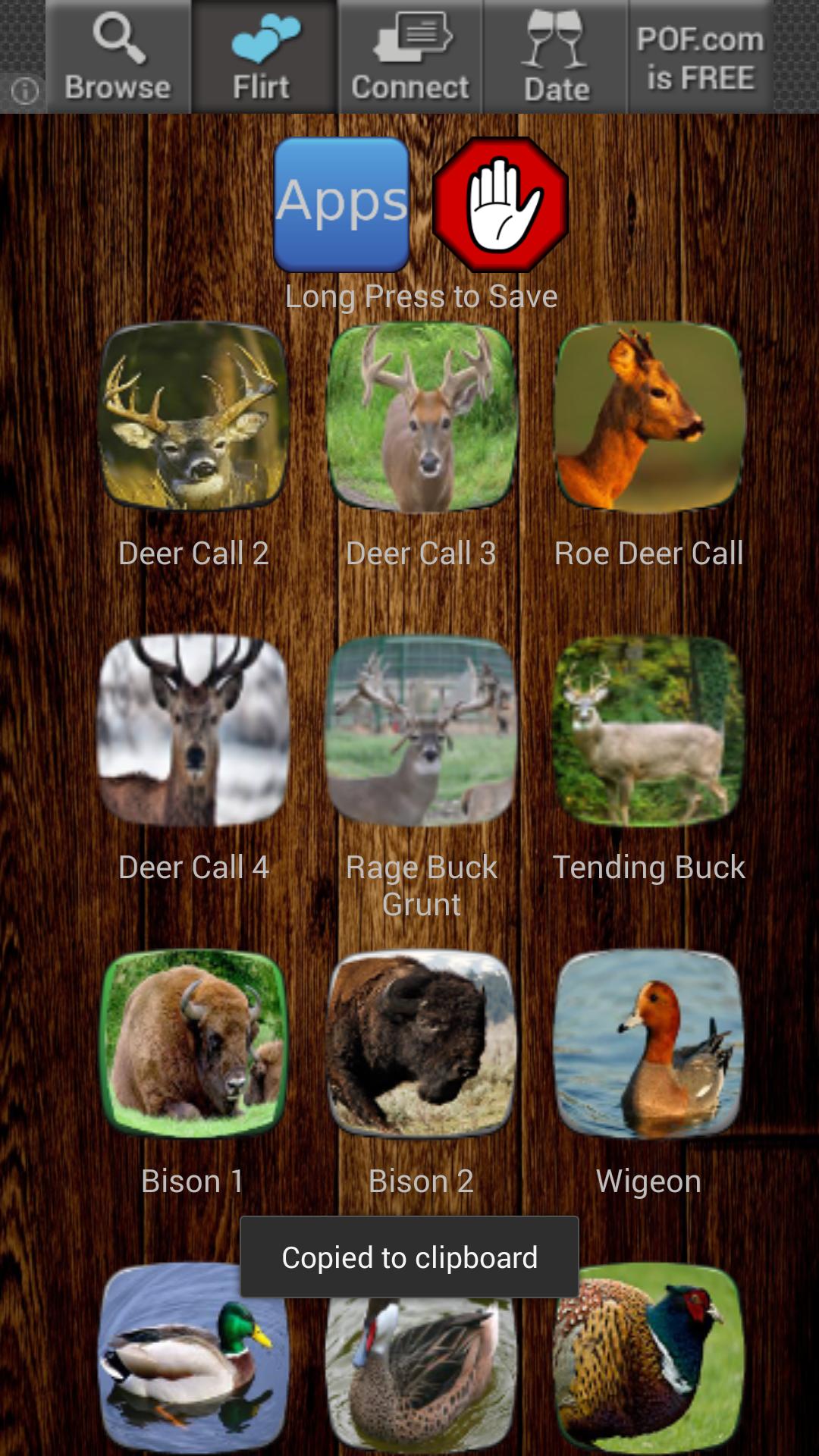 Hunting Animal Sounds