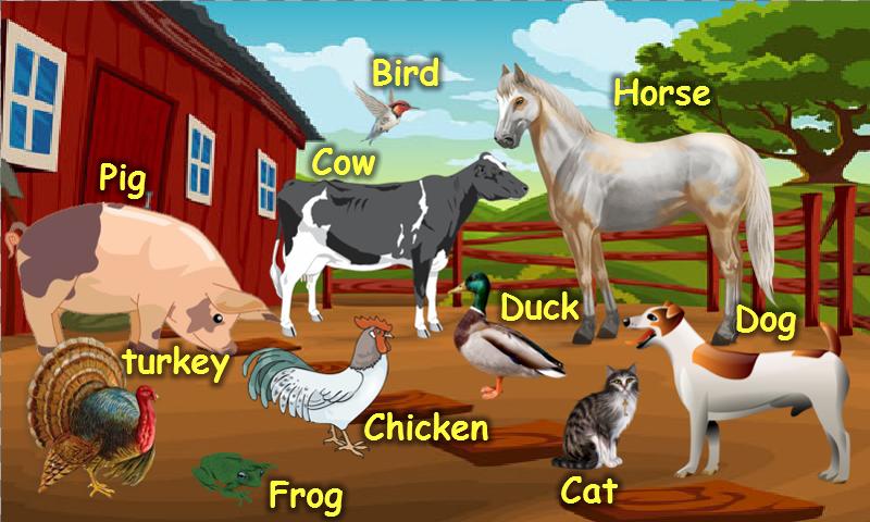 Farm Animal Sounds
