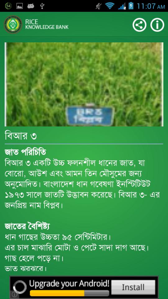 Rice Knowledge Bank