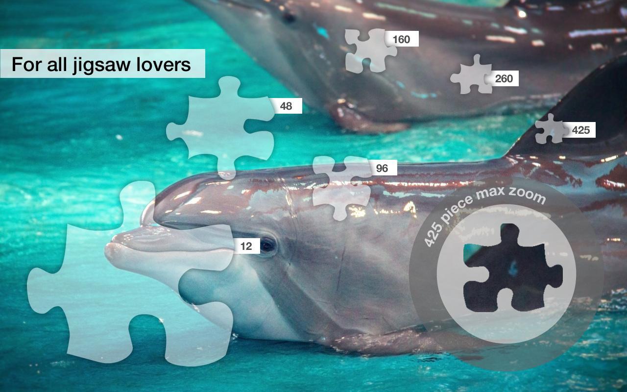 Dolphin Jigsaw Puzzles Demo