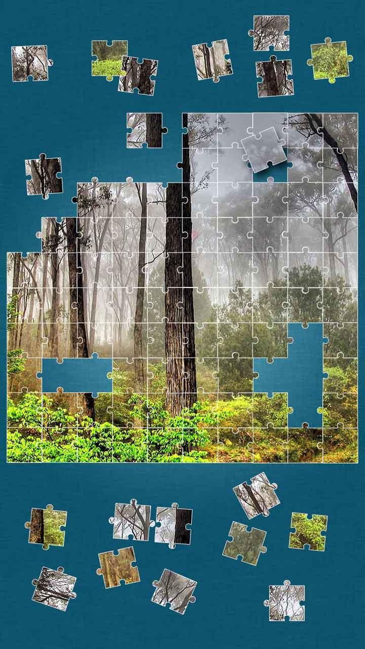 Jungle Jigsaw Puzzle