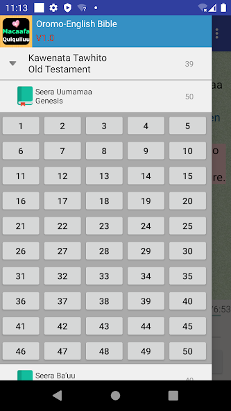 Oromo English Audio Holy Bible
