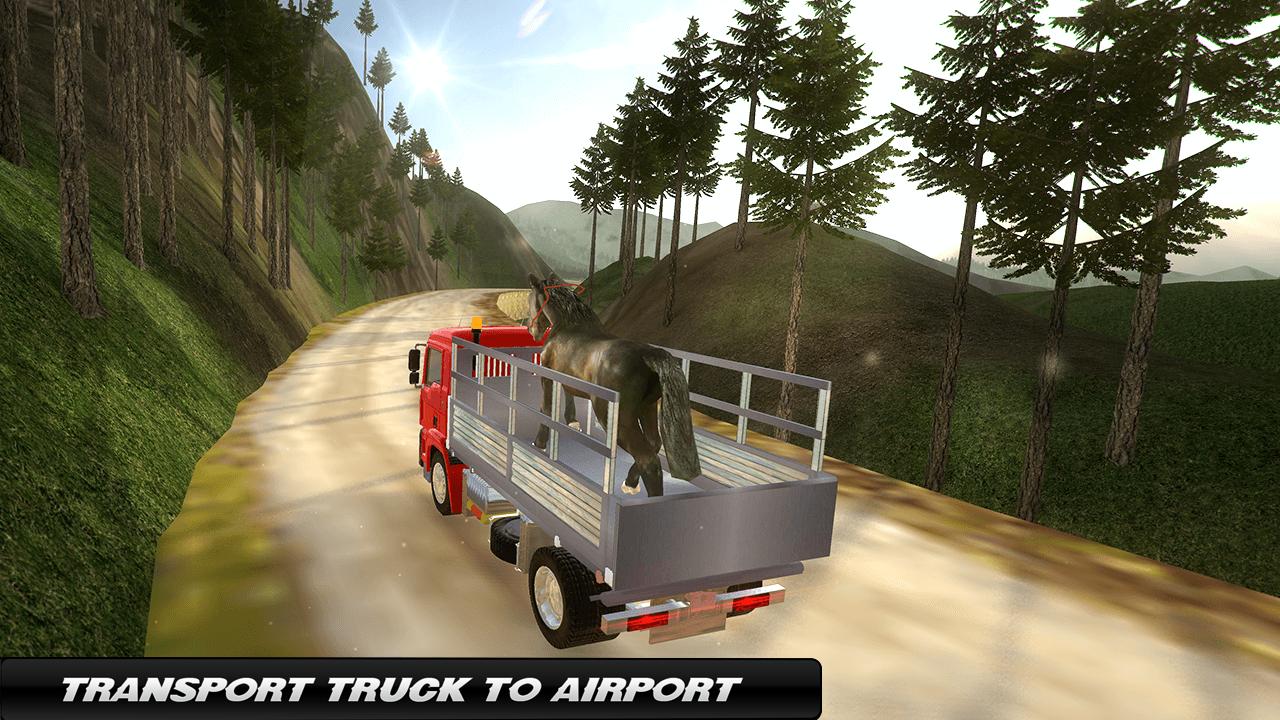 Cargo Plane: Horse Transporter