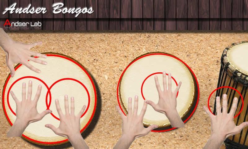 Andser Bongos