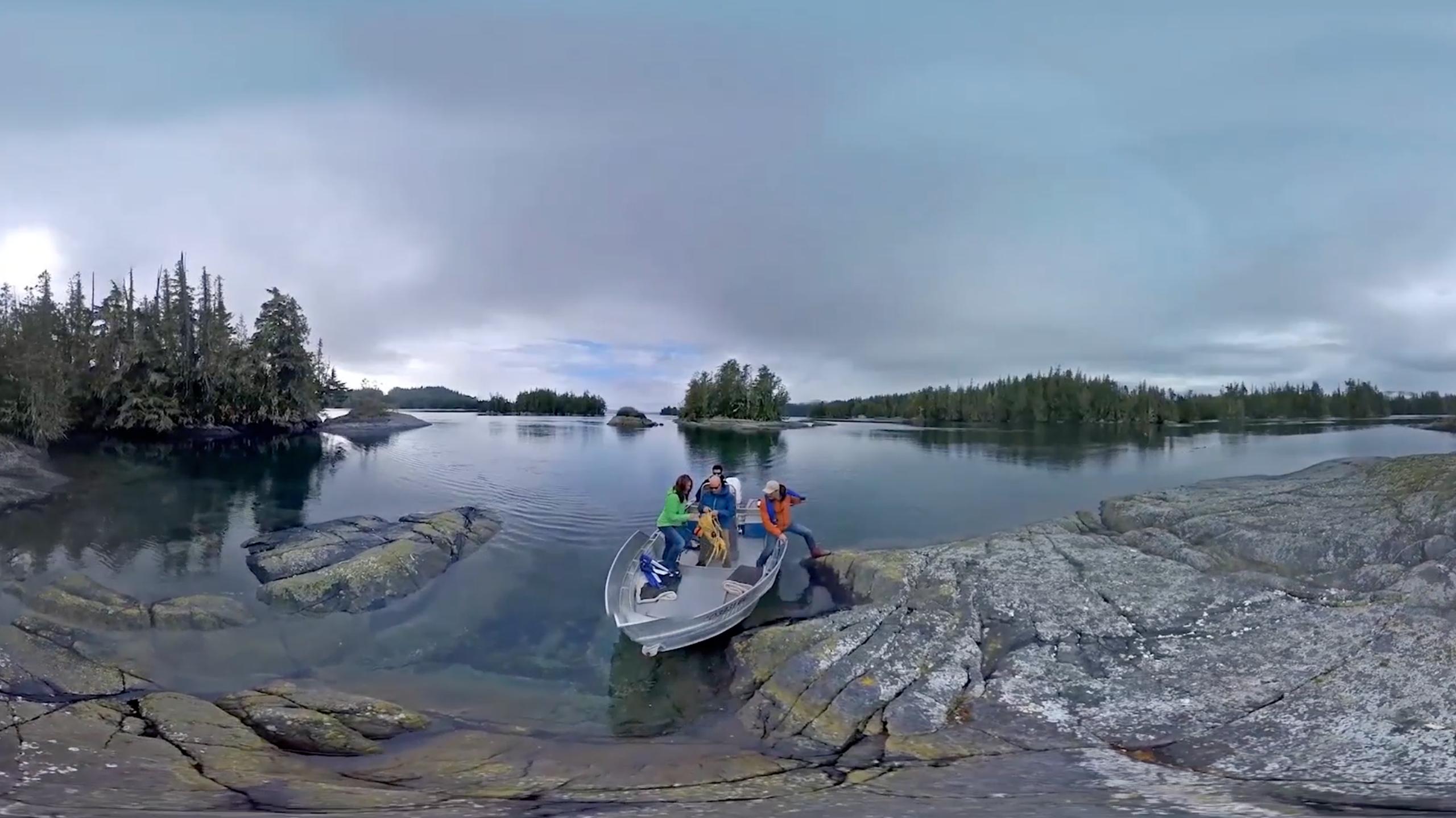 The Wild Within - VR Cardboard