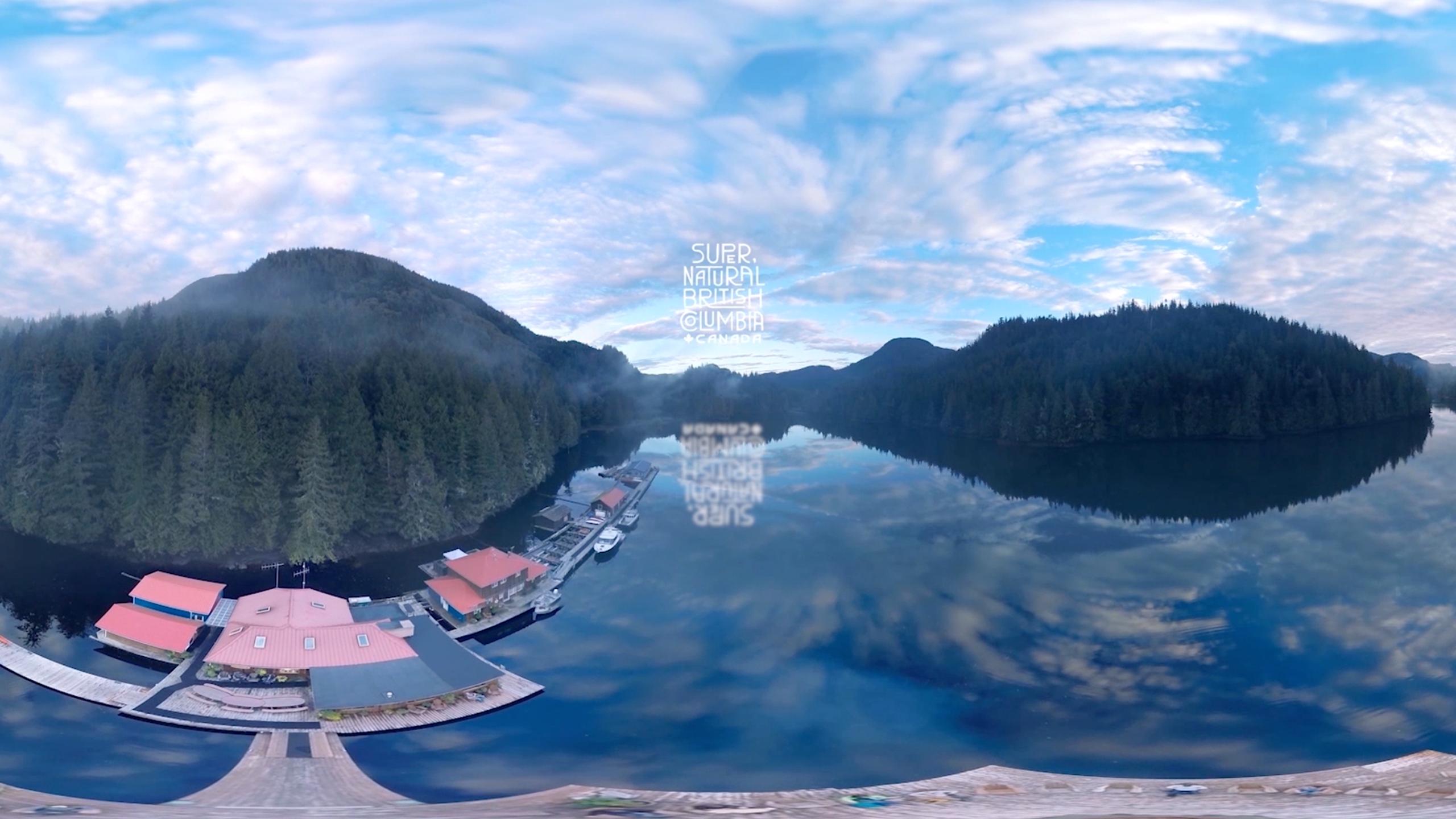 The Wild Within - VR Cardboard