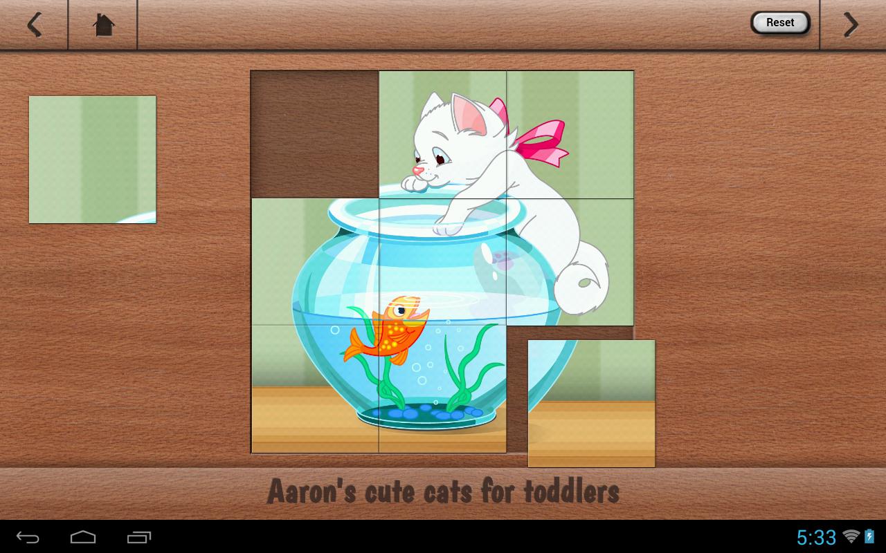 Aaron's cute cats for toddlers
