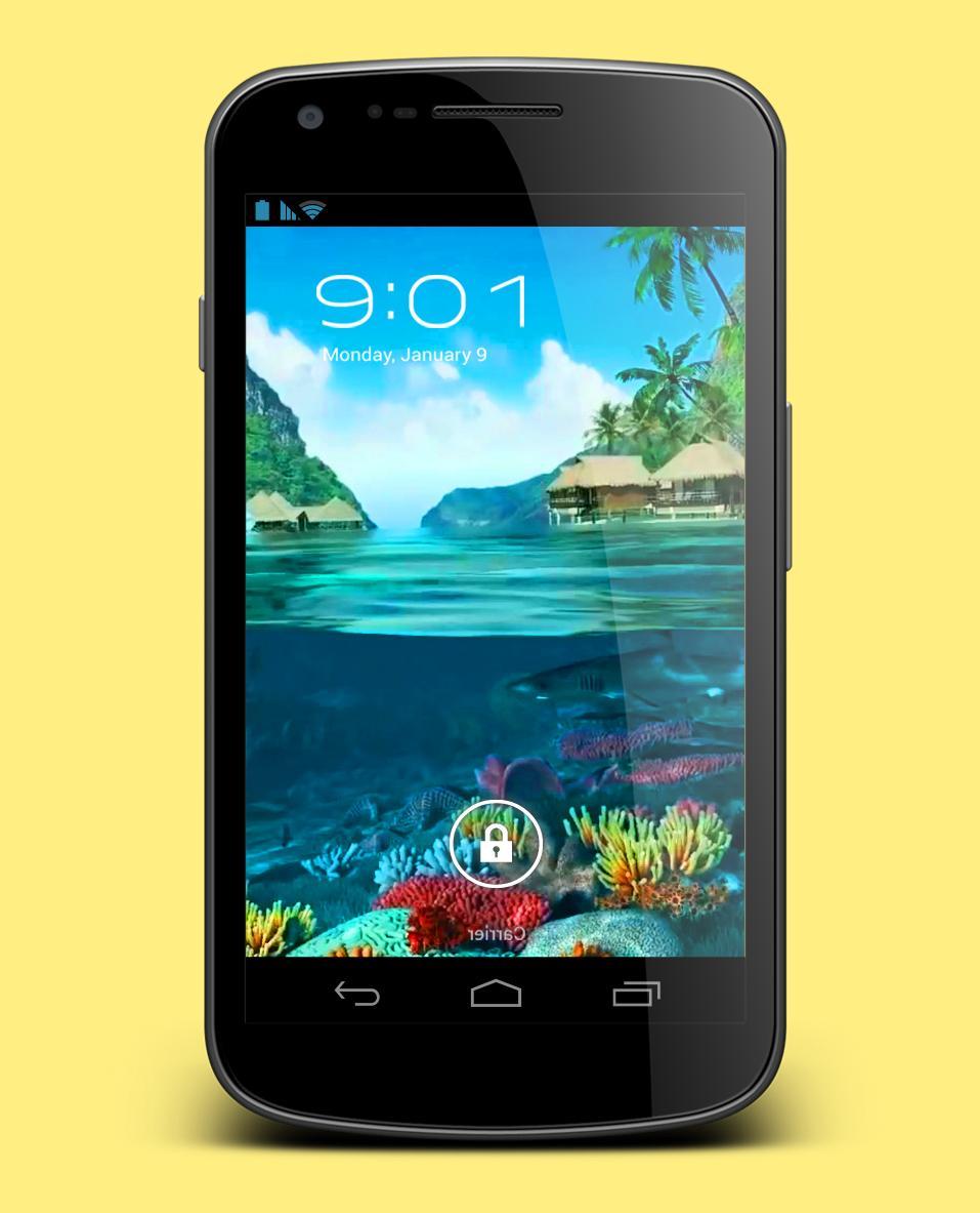 Holiday Resort Island LiveWP