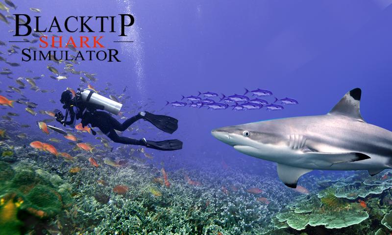 Blacktip Shark Simulator