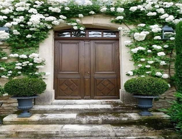 Modern Home Front Doors
