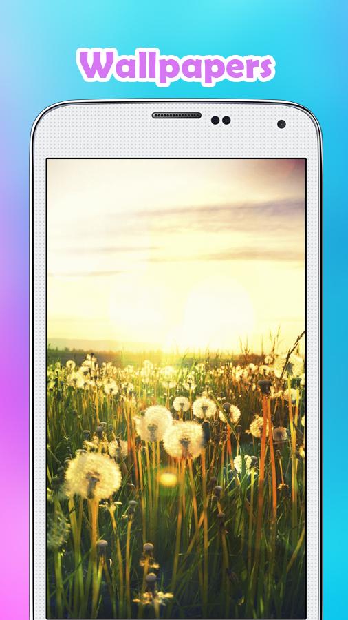 10000+ Wallpapers MX