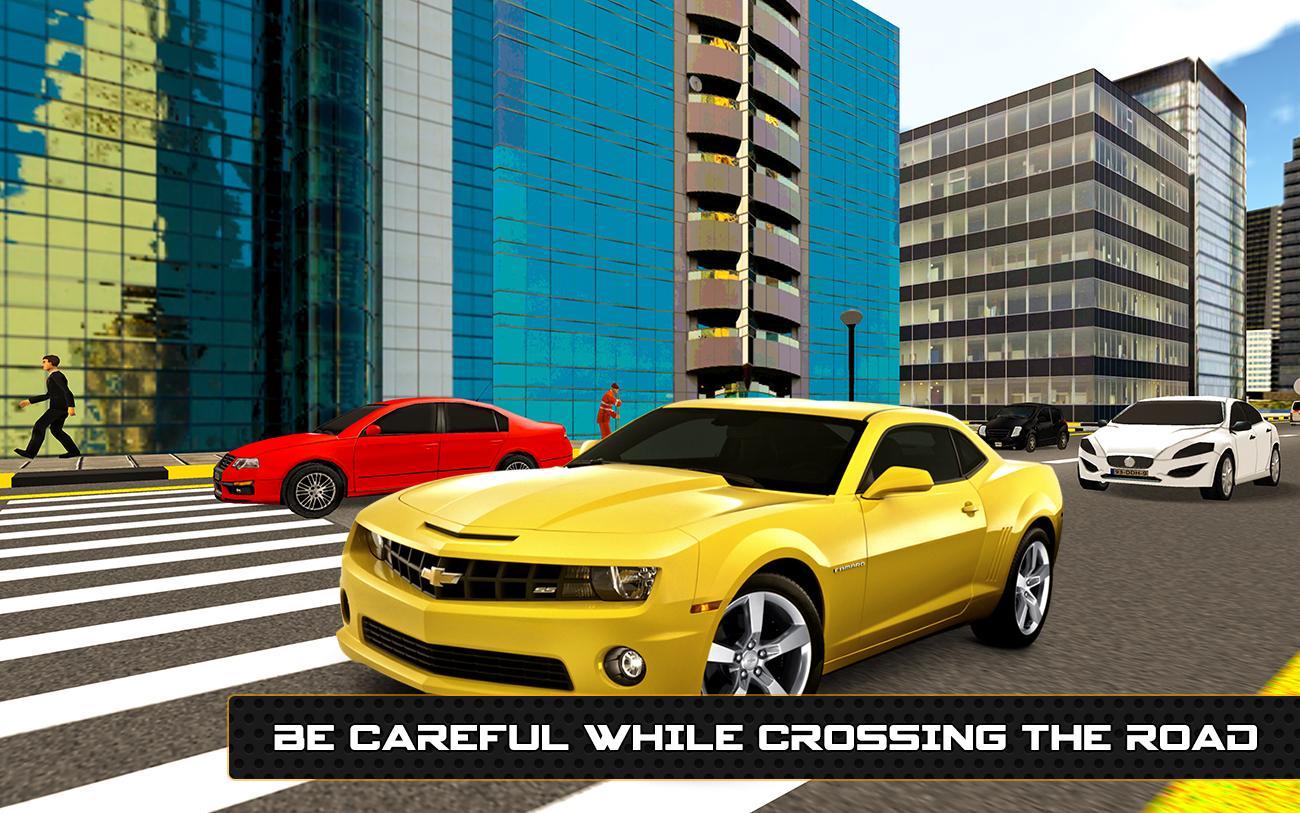 Real Road Crossing