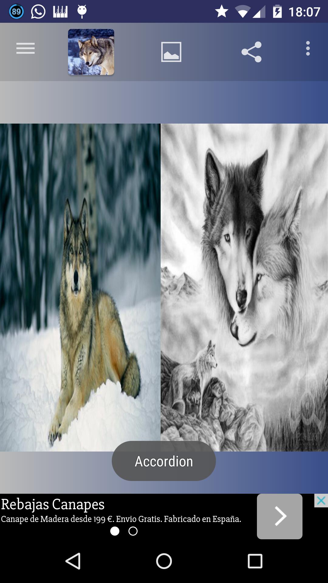 Wolfs wallpapers