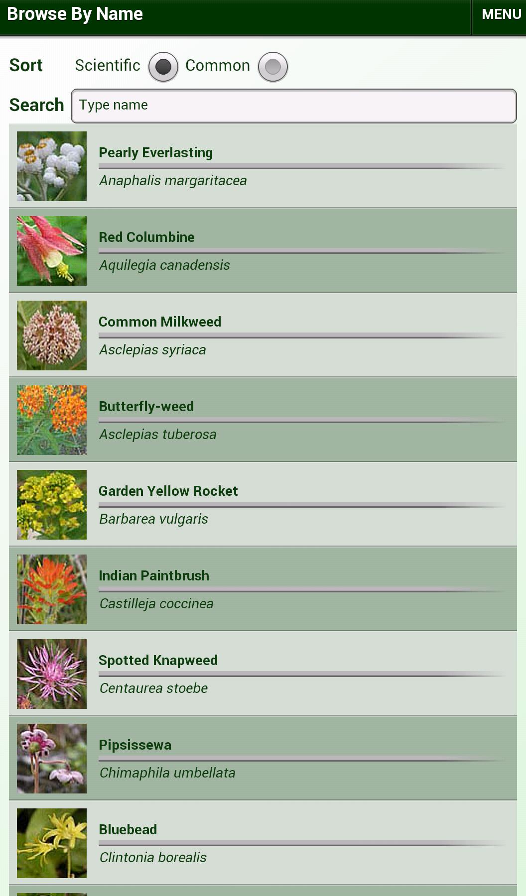 Minnesota Wildflowers Lite