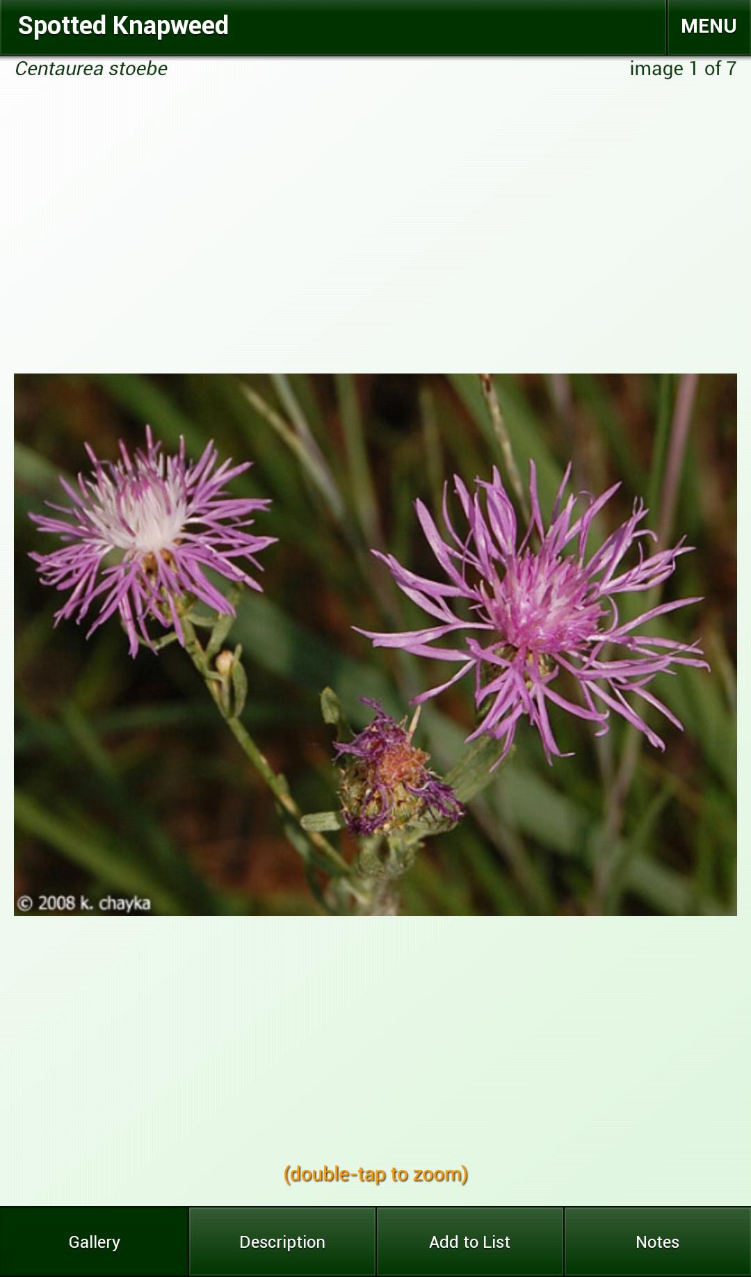 Minnesota Wildflowers Lite