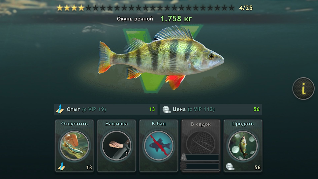 World of Fishers, Fishing game