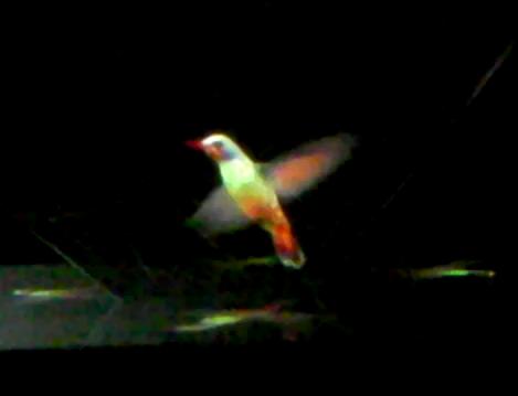 Real 3D Hologram Projector