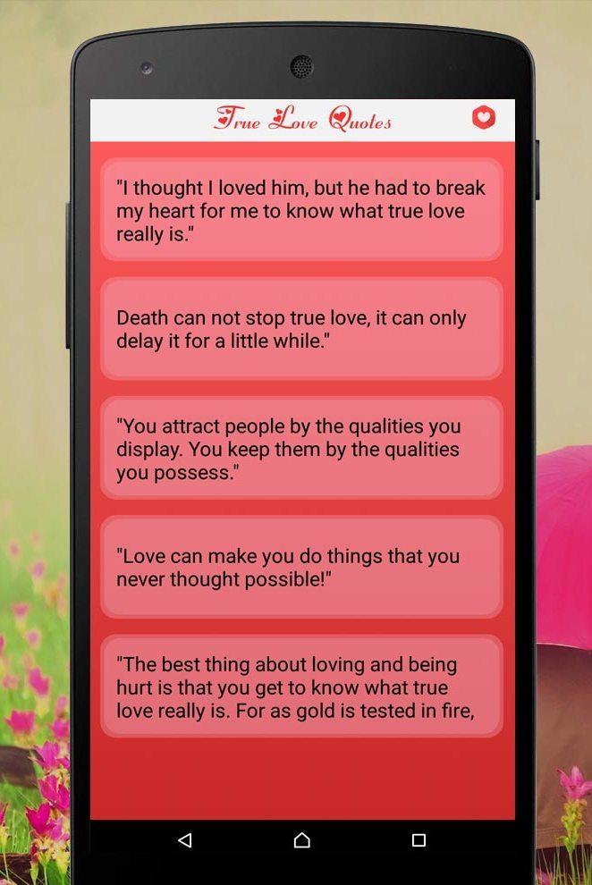 Love Status And Quotes