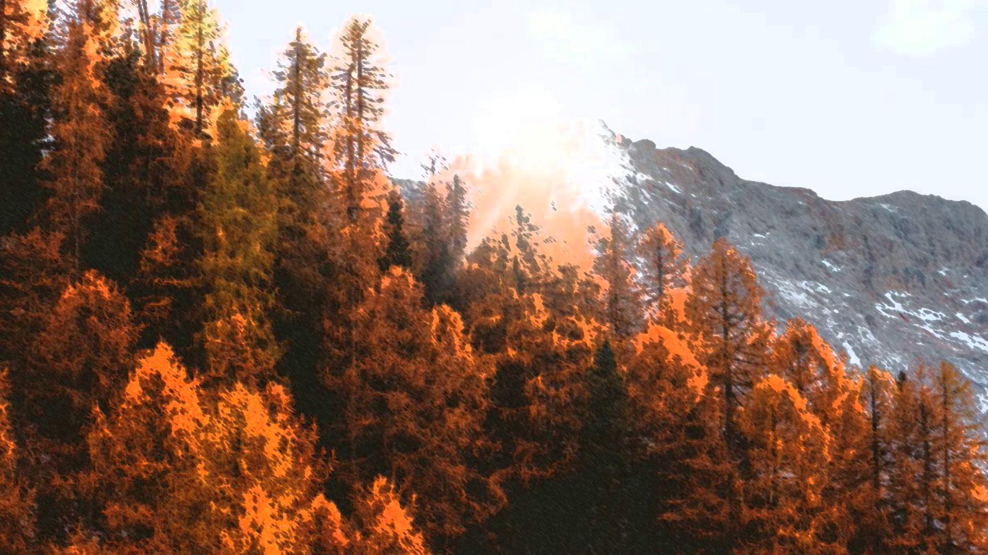 Wallpapers for Nature